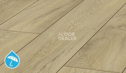 Ламинат Kronotex Mammut Plus d4672 Дуб Магнум Светлый фото 1 | FLOORDEALER